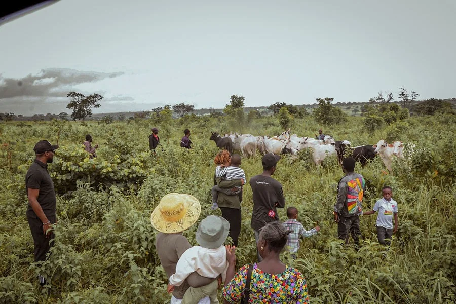 People working together on the land